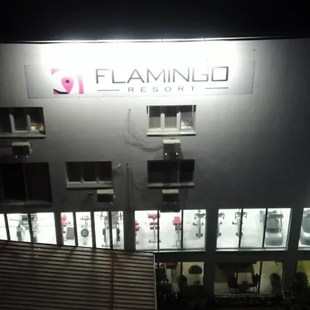Flamingo 3*