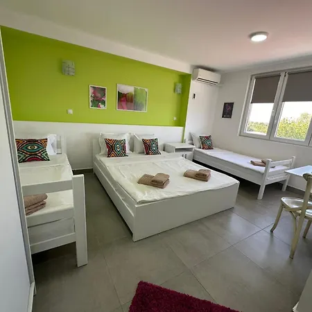 Flamingo Daire Belgrad