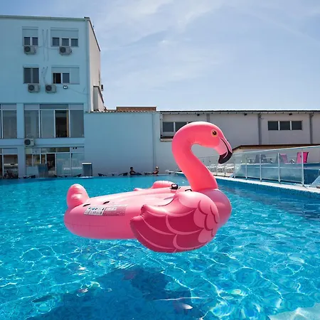 Flamingo *