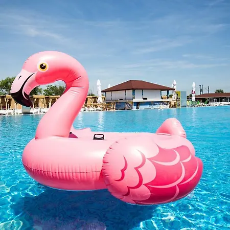 Apartment Flamingo Belgrad